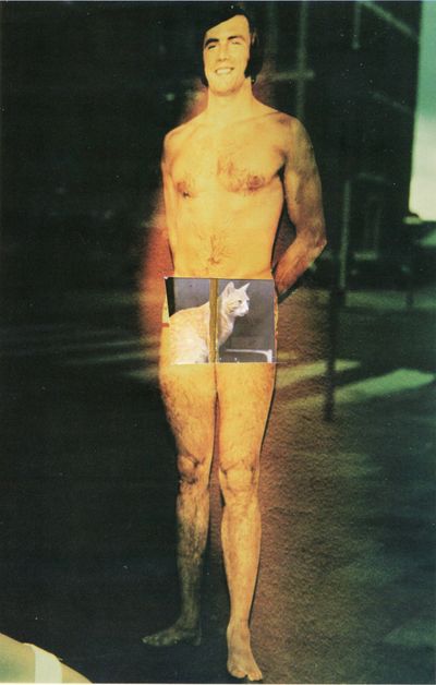 Willy Window · 2019