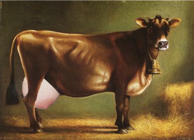 Koe met Enkele Tiet · 2019